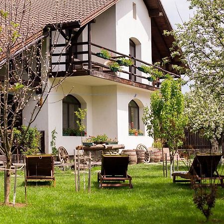 Casa Mosului - Transfagarasan Bed & Breakfast Cîrţişoara エクステリア 写真