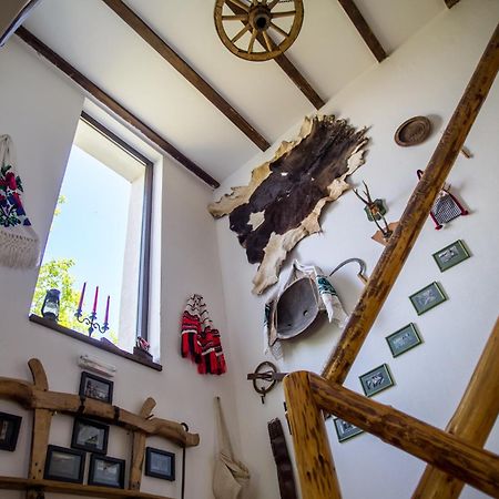 Casa Mosului - Transfagarasan Bed & Breakfast Cîrţişoara エクステリア 写真