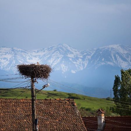 Casa Mosului - Transfagarasan Bed & Breakfast Cîrţişoara エクステリア 写真