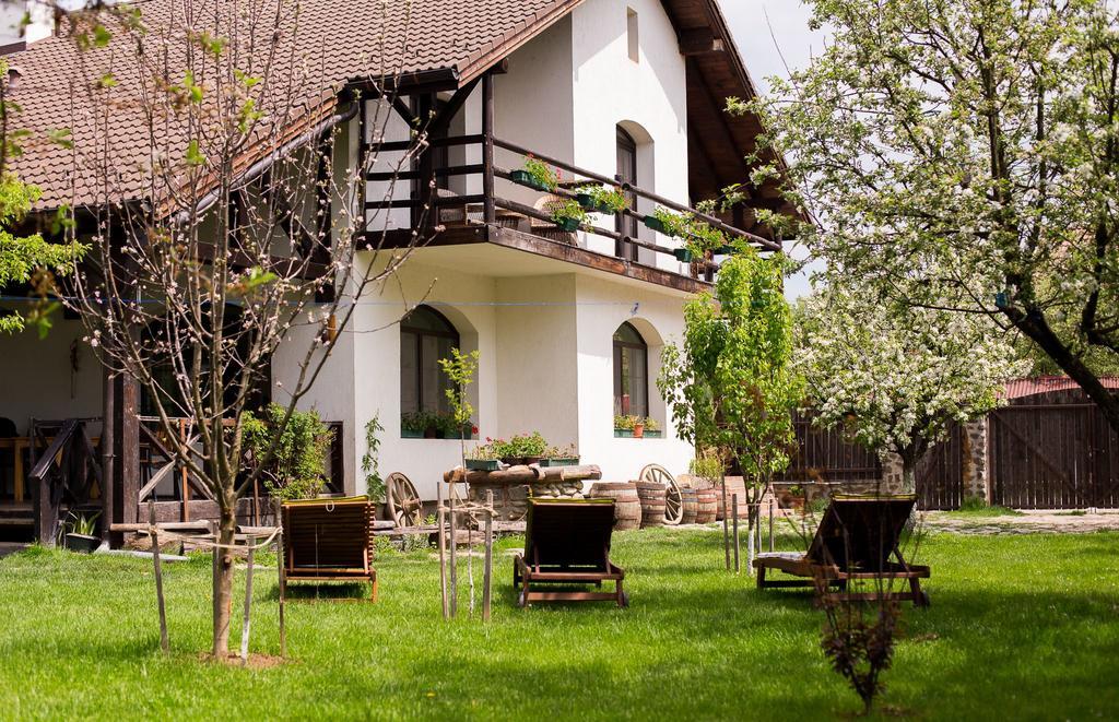 Casa Mosului - Transfagarasan Bed & Breakfast Cîrţişoara エクステリア 写真