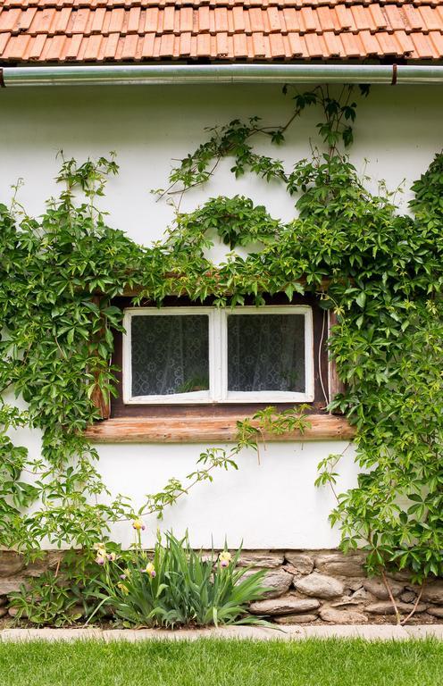 Casa Mosului - Transfagarasan Bed & Breakfast Cîrţişoara エクステリア 写真