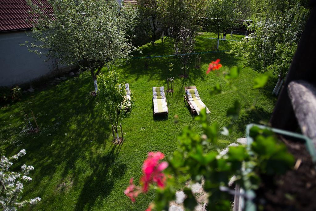 Casa Mosului - Transfagarasan Bed & Breakfast Cîrţişoara エクステリア 写真