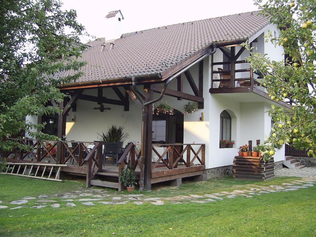 Casa Mosului - Transfagarasan Bed & Breakfast Cîrţişoara エクステリア 写真