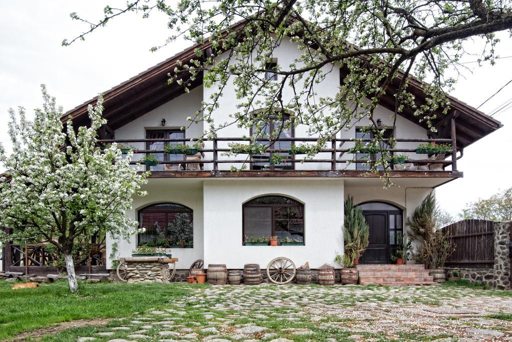 Casa Mosului - Transfagarasan Bed & Breakfast Cîrţişoara エクステリア 写真