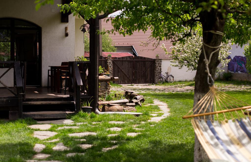 Casa Mosului - Transfagarasan Bed & Breakfast Cîrţişoara エクステリア 写真
