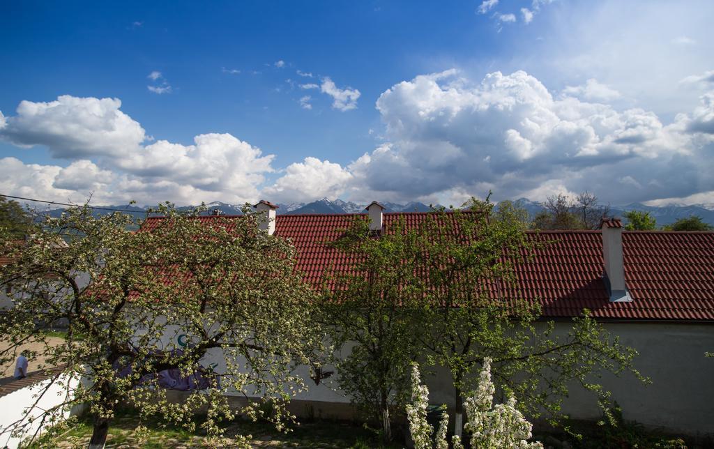 Casa Mosului - Transfagarasan Bed & Breakfast Cîrţişoara エクステリア 写真