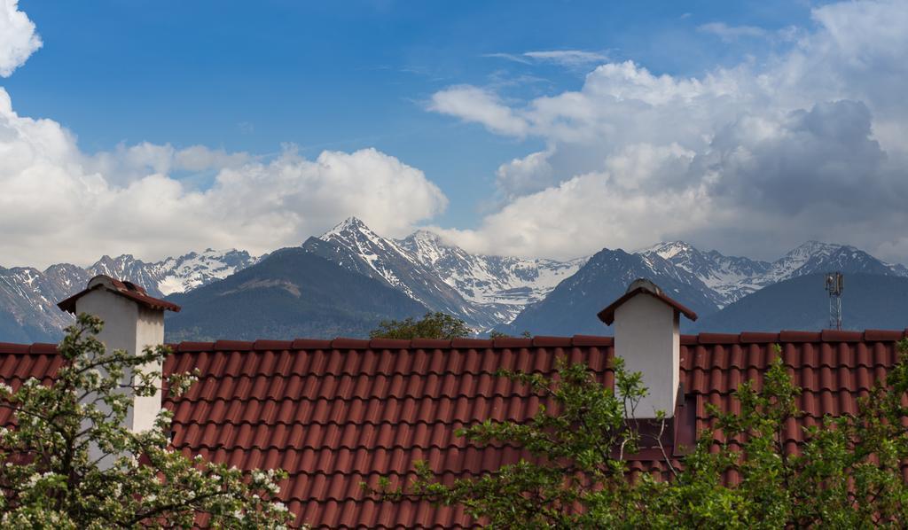 Casa Mosului - Transfagarasan Bed & Breakfast Cîrţişoara エクステリア 写真