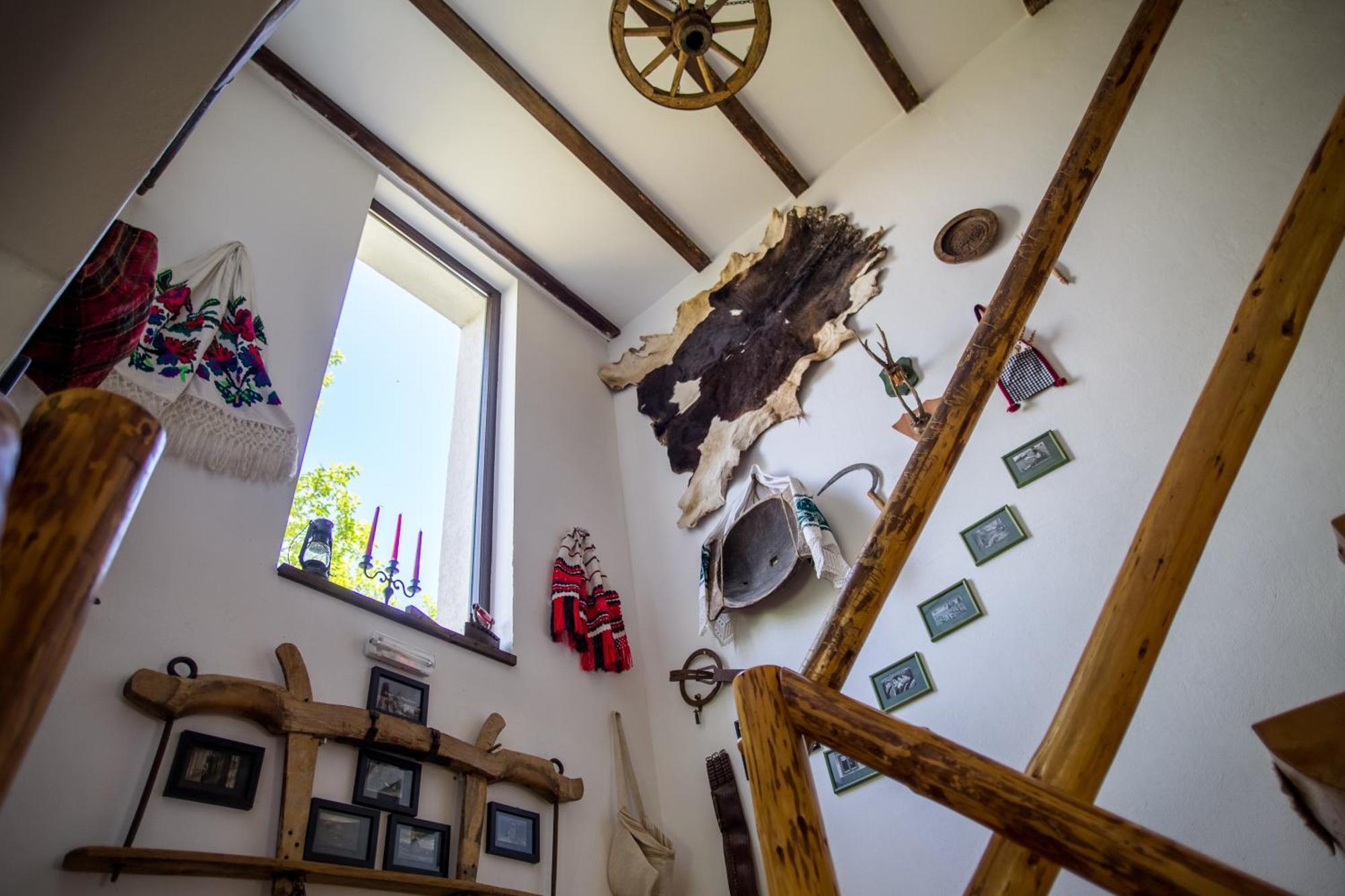 Casa Mosului - Transfagarasan Bed & Breakfast Cîrţişoara エクステリア 写真
