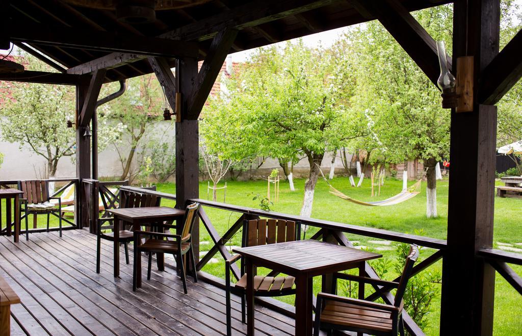 Casa Mosului - Transfagarasan Bed & Breakfast Cîrţişoara エクステリア 写真