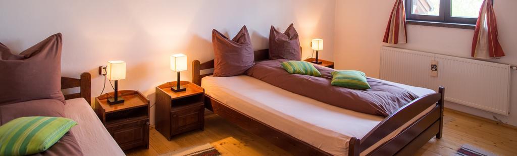 Casa Mosului - Transfagarasan Bed & Breakfast Cîrţişoara エクステリア 写真